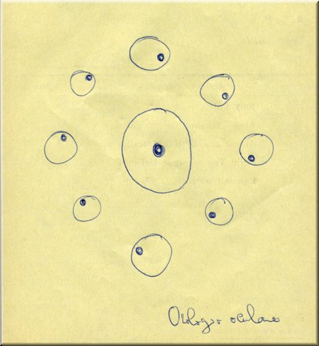 1977_05OrologioOculare.jpg