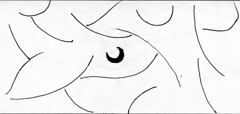 M008-OR.jpg