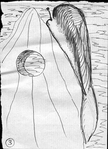 1979-04-03_8PiccoliDisegni8PiccoliPensieri3.jpg