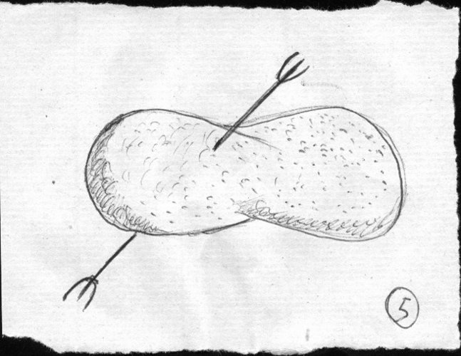 1979-04-03_8PiccoliDisegni8PiccoliPensieri5.jpg