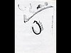 1979-10-04_CheNonCeAppesoNiente.jpg
