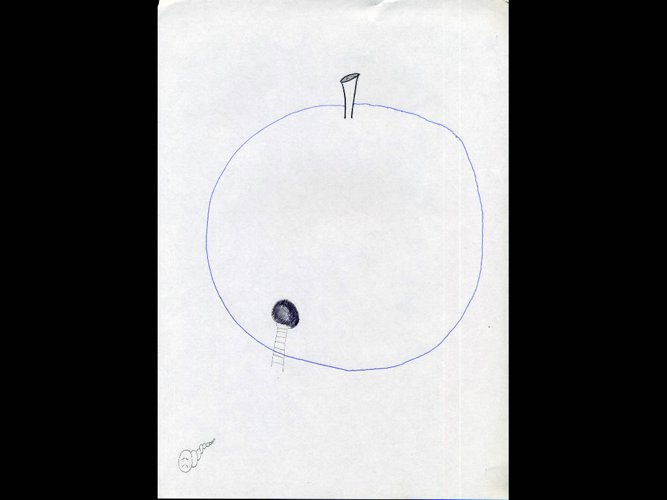 01-Disattenzioni-coniugali.jpg