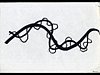 1996-04_03.jpg