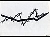 1996-04_04.jpg